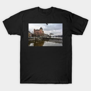 Seagulls and Bellevue building T-Shirt